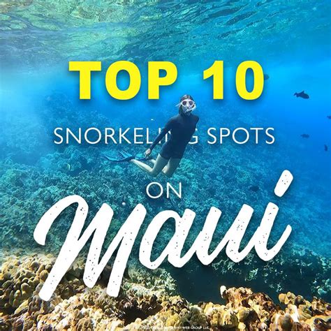 Discover the beauty beneath the waves with our exclusive Maui magic snorkel promotion